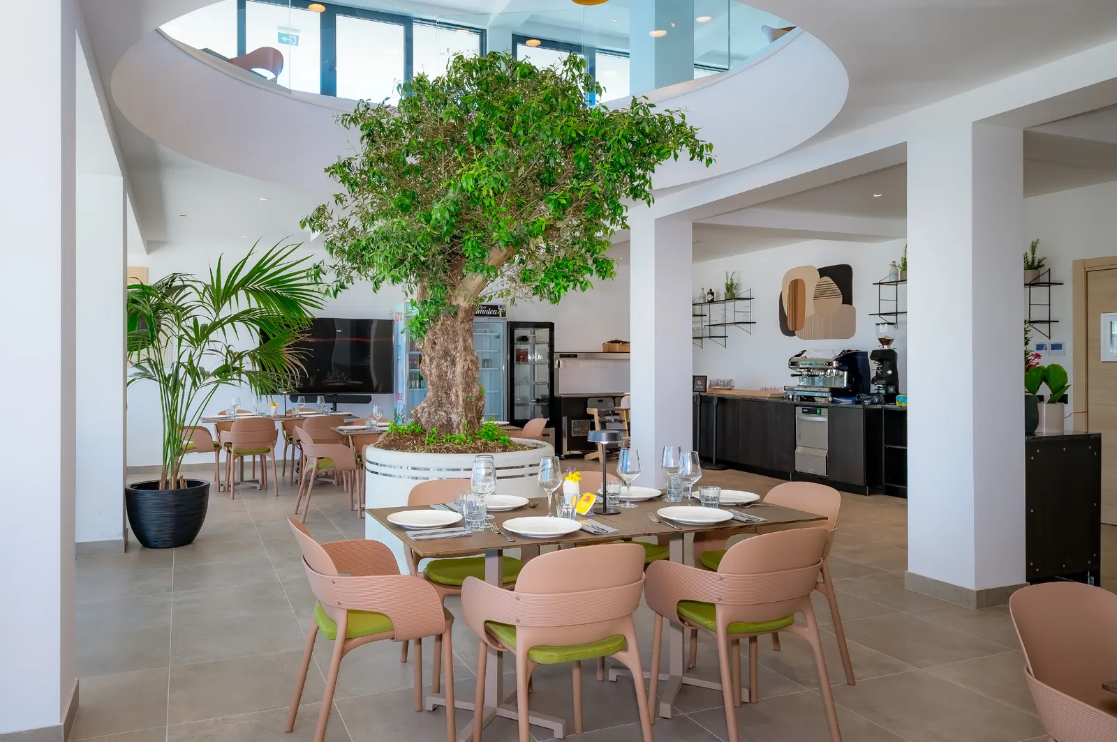 Moderne, neue Einrichtung im Restaurant The Olive Tree